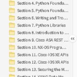 Designing and implementing cisco network programming Free Course Download